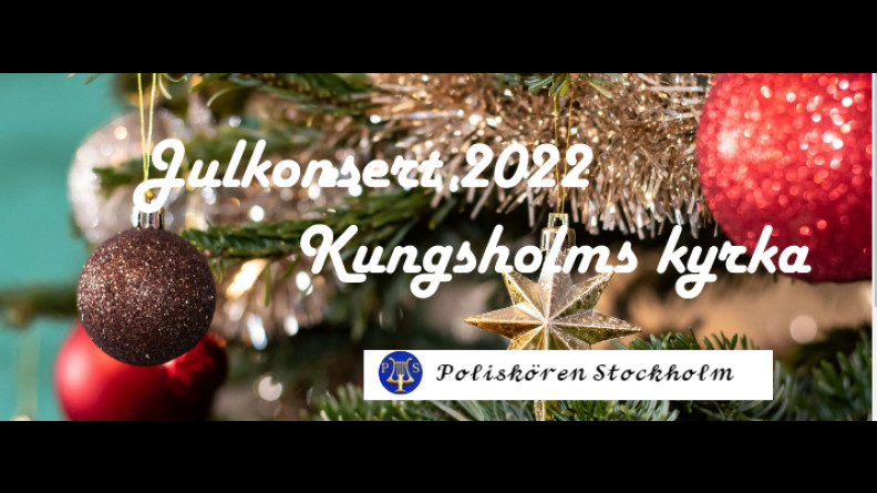 Julkonsert 2022 poliskören