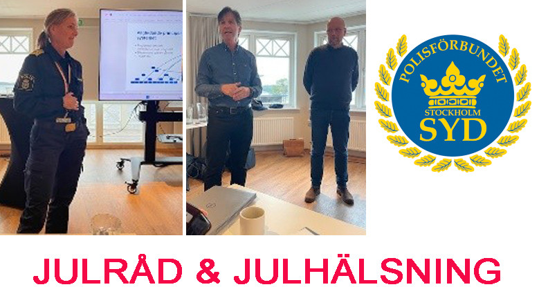 collage fo syd råd nov 2025.jpg