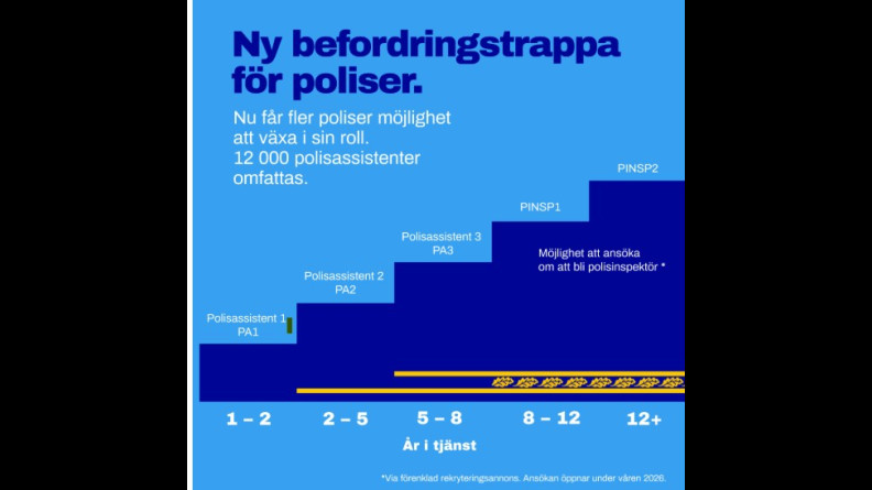 puts dec 2025 trappa